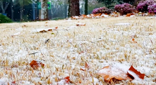 潍坊寿光迎今冬首场降雪