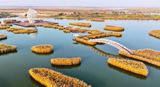 【潍坊寿光】巨淀湖畔好风光 生态画卷入眼来