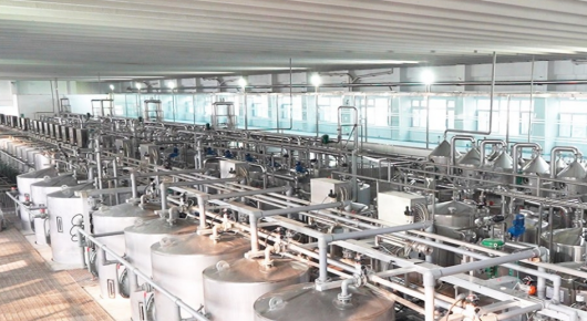 潍坊寿光：走进“智慧工厂” 感受“科技范儿”