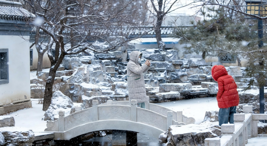 “大寒”将至 潍坊寿光降下2026年初雪