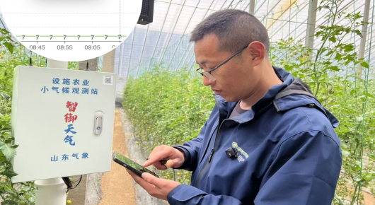 潍坊寿光：手机是农具？没错