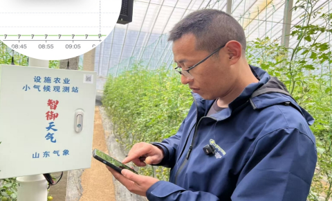 潍坊寿光：手机是农具？没错