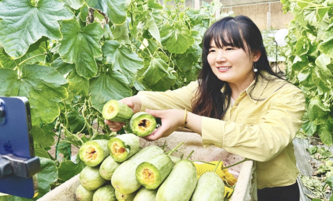 潍坊寿光：优质农产品乘“云”而飞