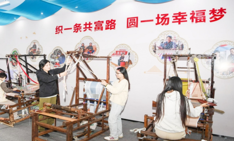 潍坊寿光：产业兴乡村 共富向未来