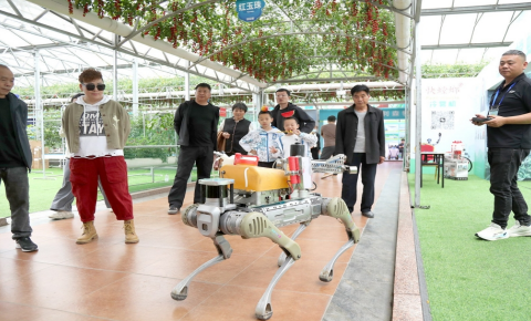 潍坊寿光：智慧农业“机器狗”上岗