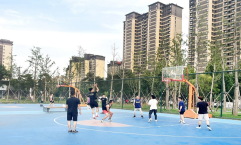家门口的公园，又上新了
