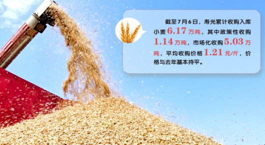 颗粒喜归仓 农民笑售粮