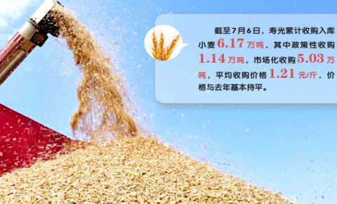 颗粒喜归仓 农民笑售粮