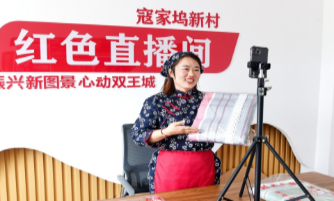 厚植乡村电商发展内生动能