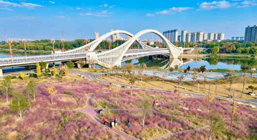 宜居寿光绘就深秋“幸福景”