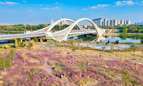 宜居寿光绘就深秋“幸福景”