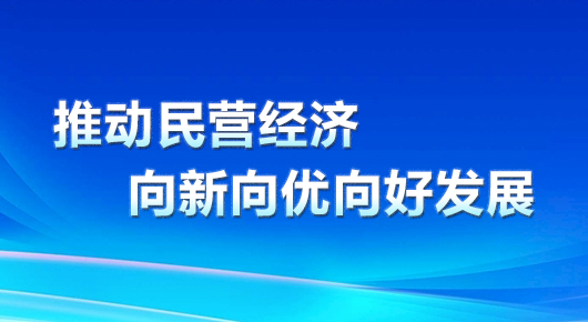 推动民营经济向新向优向好发展