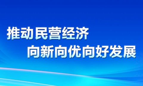推动民营经济向新向优向好发展